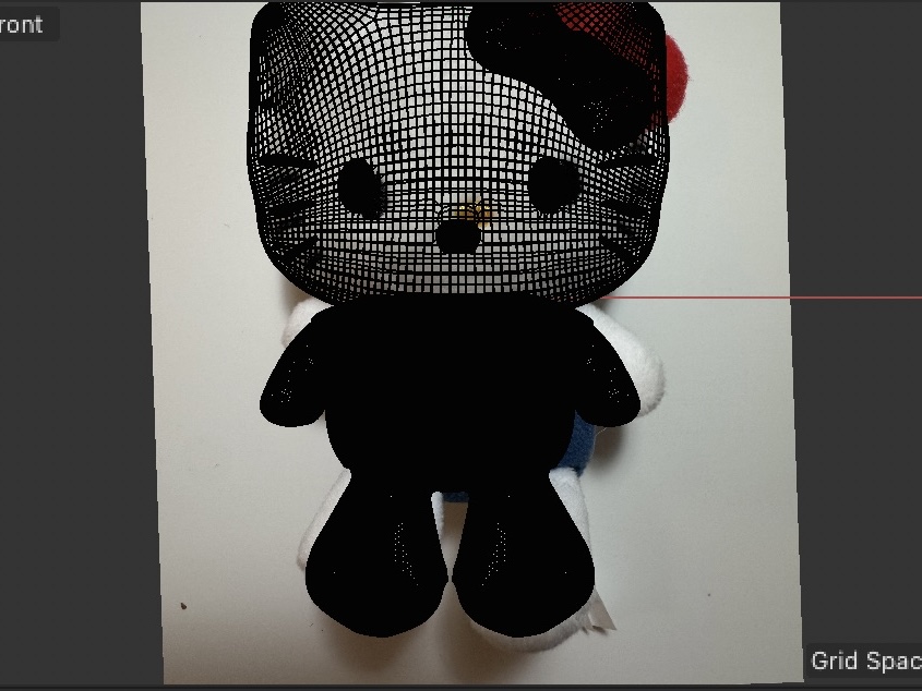 This is the back view of the kitty.