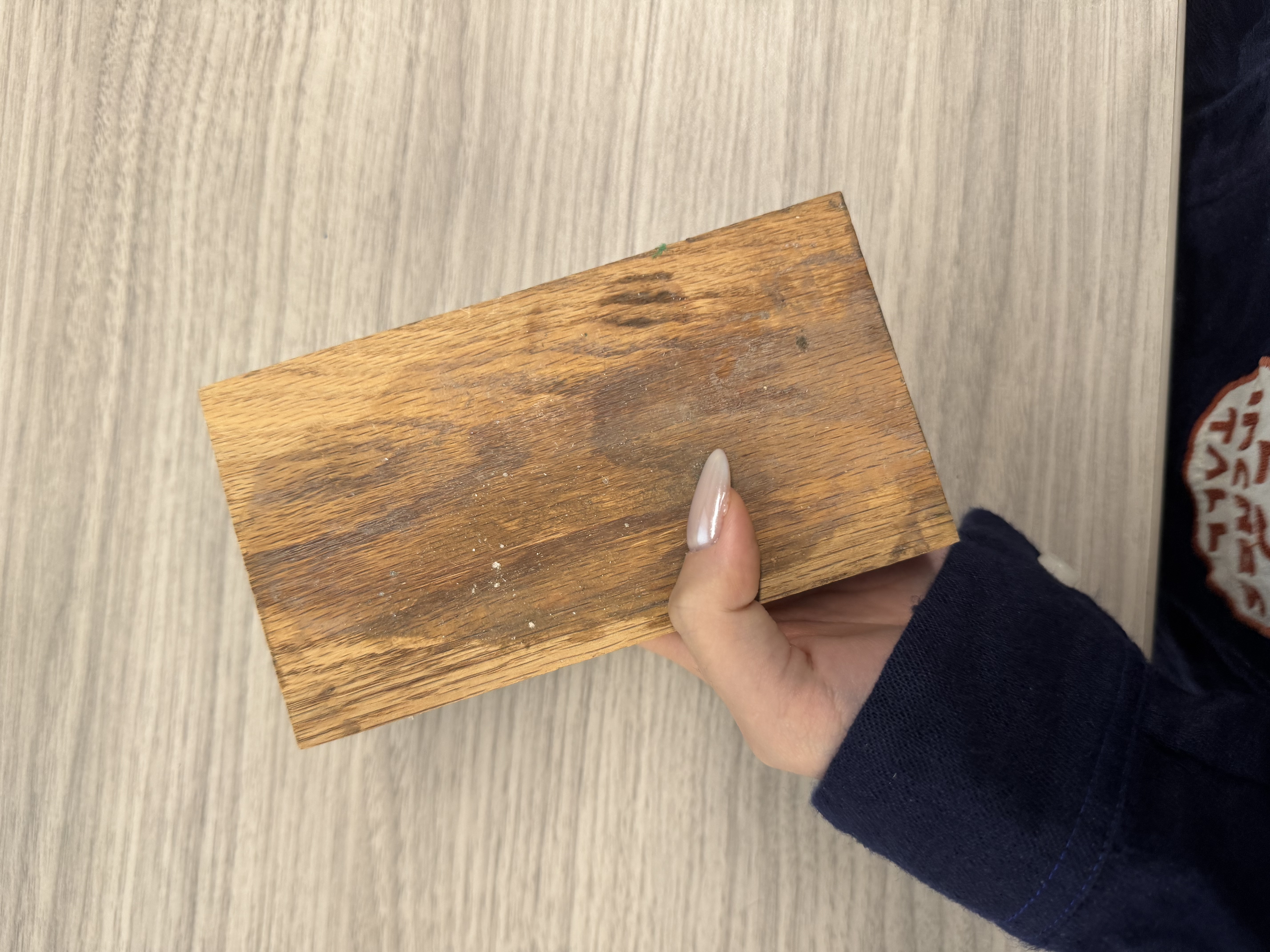 Wood Brick:
- Wood
- Material qualities: Brown, rigid, a little rough on the surface
- Material state: Raw
- Material Plasticity: Rigid
- Material Use: Construction, furniture, wools, fuel