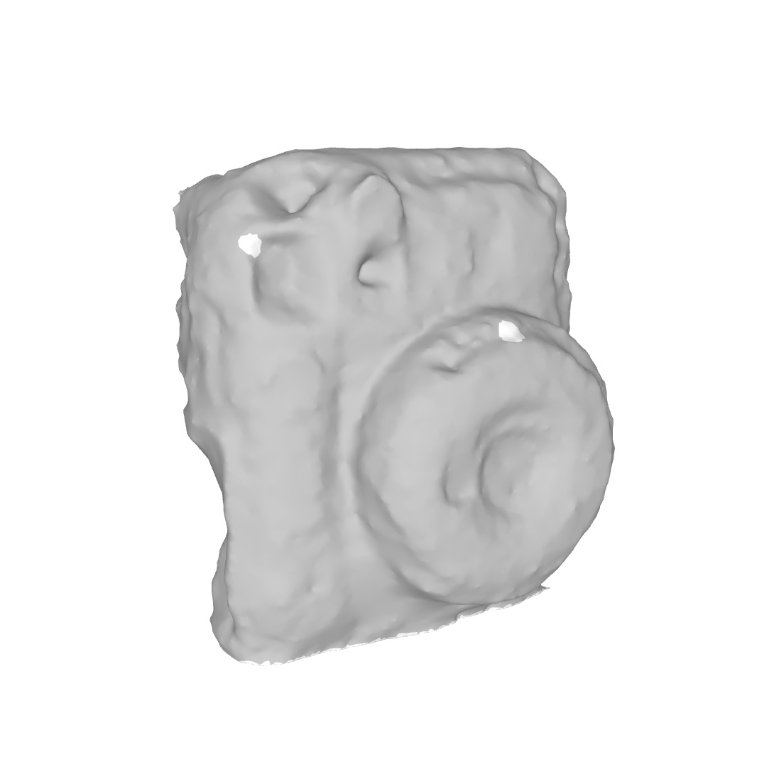 Testing the model in 3D viewer